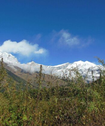 Wälder und Gräser im Annapurna-Massiv