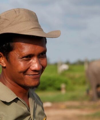 Mahout im Elefantenworkcamp
