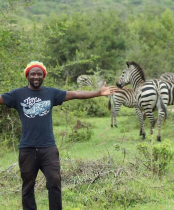 Mann mit bunter Mütze steht vor einer Zebraherde