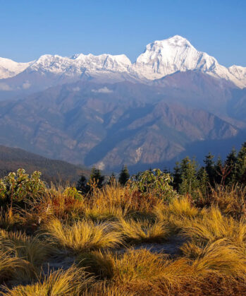 Aussicht Poon Hill