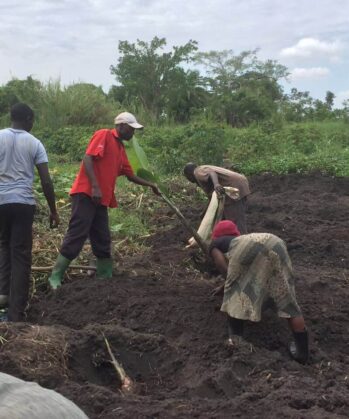 Volontäre & Einheimische beim Farming in Uganda