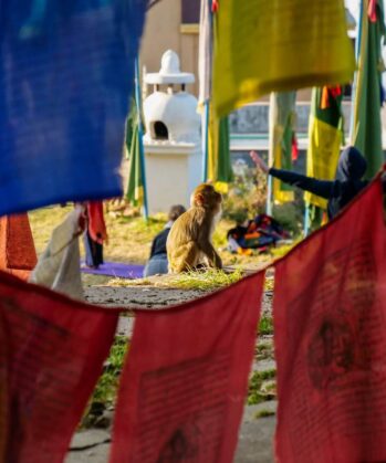 Gebetsfahnen im Kloster in Nepal