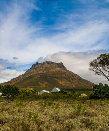 Blick auf die Weinberge in Stellenbosch, Südafrika