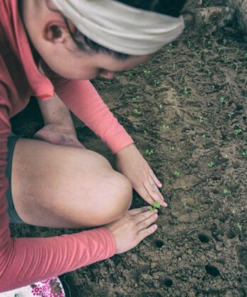 Volunteer planting seeds on Palawan Island