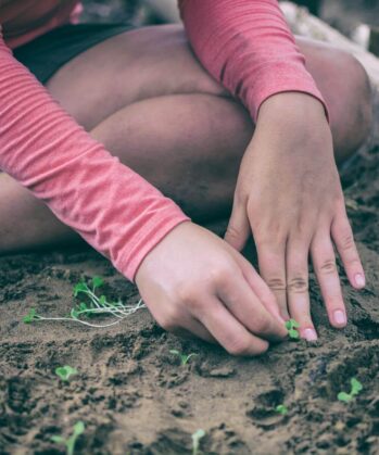 Volunteer planting seeds on Palawan island