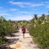 Volunteers walking in nature