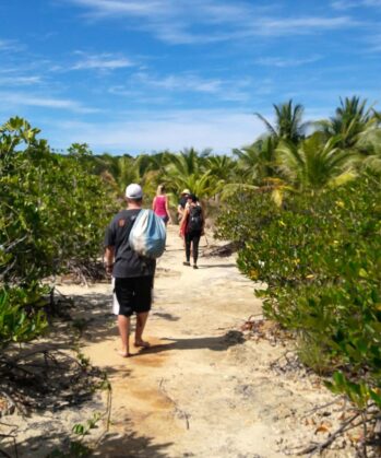 Volunteers walking in nature