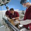 Hunde-Impfung in der Tierklinik in Peru
