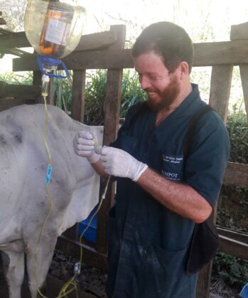 Tiermedizinische Unterstützung in Costa Rica